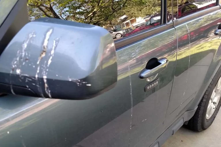 Cara Membersihkan Kotoran Burung dan Noda Getah Pohon Pada Mobil